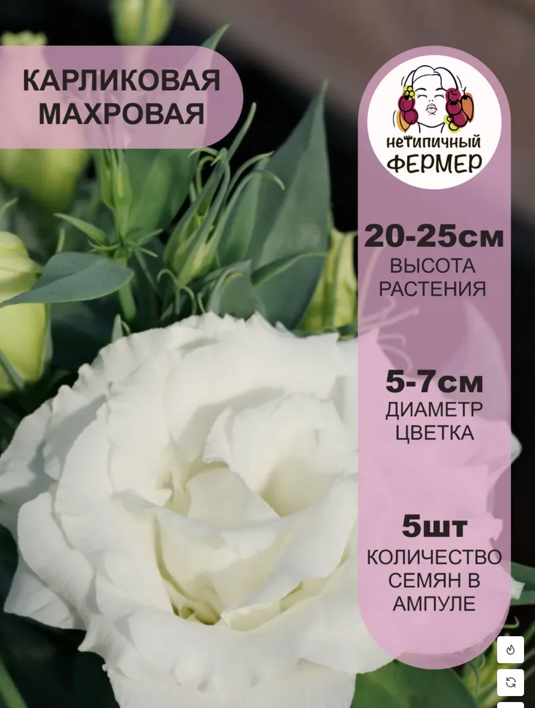 Снимок экрана 2025-12-19 в 01.04.54