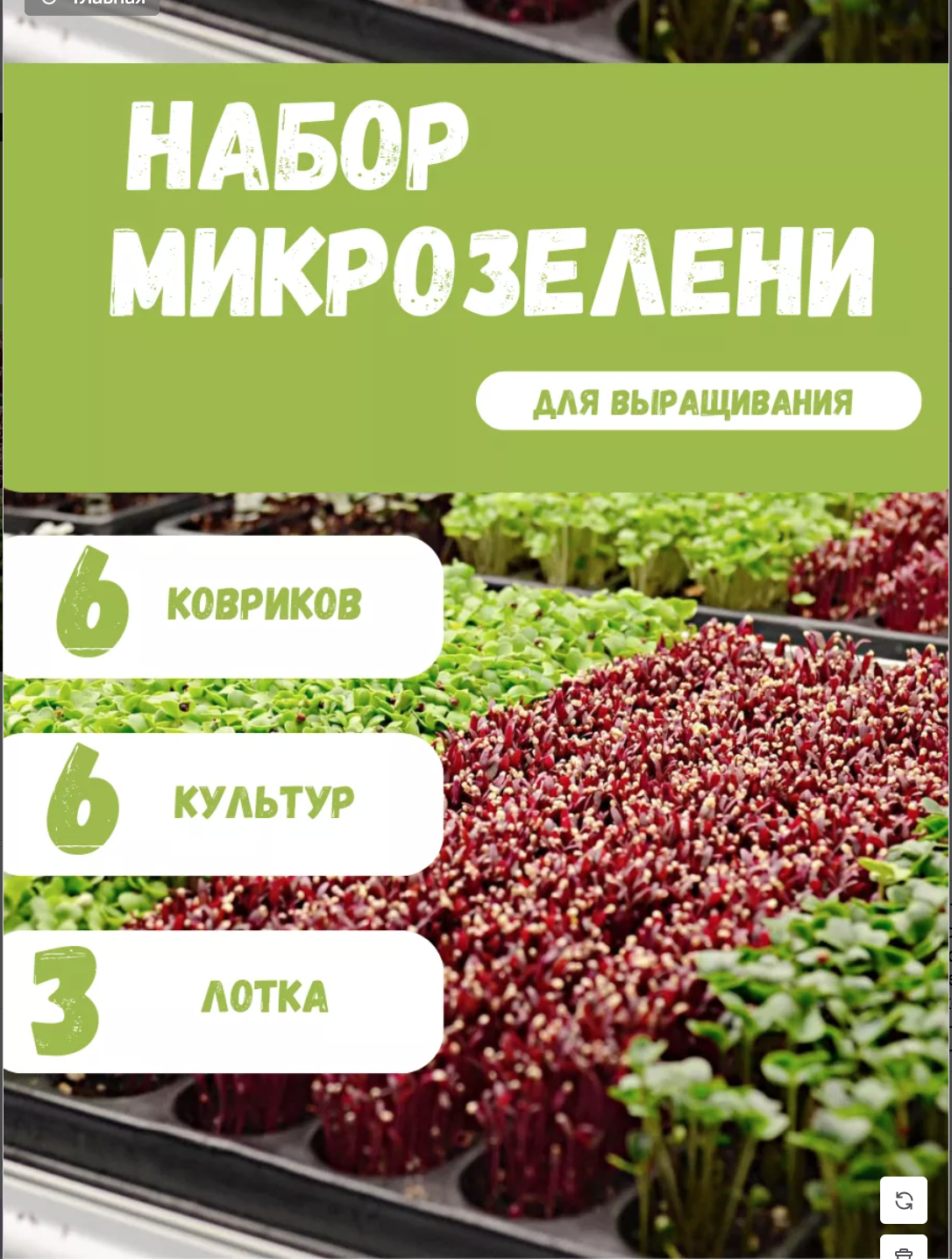 Снимок экрана 2025-12-16 в 23.30.11