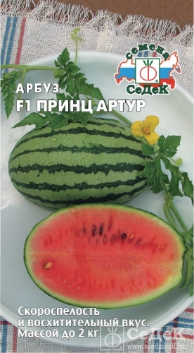 Арбуз принц Артур (0,5г) СЕДЕК