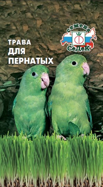 Трава для пернатых (10г) Седек