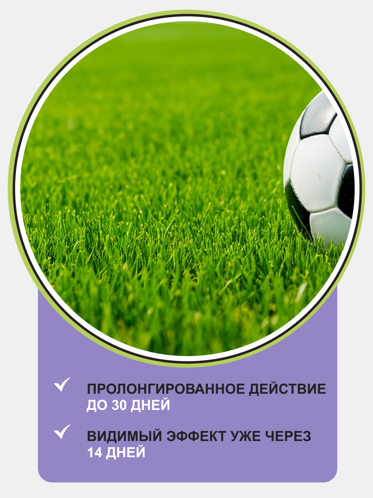 газон 2