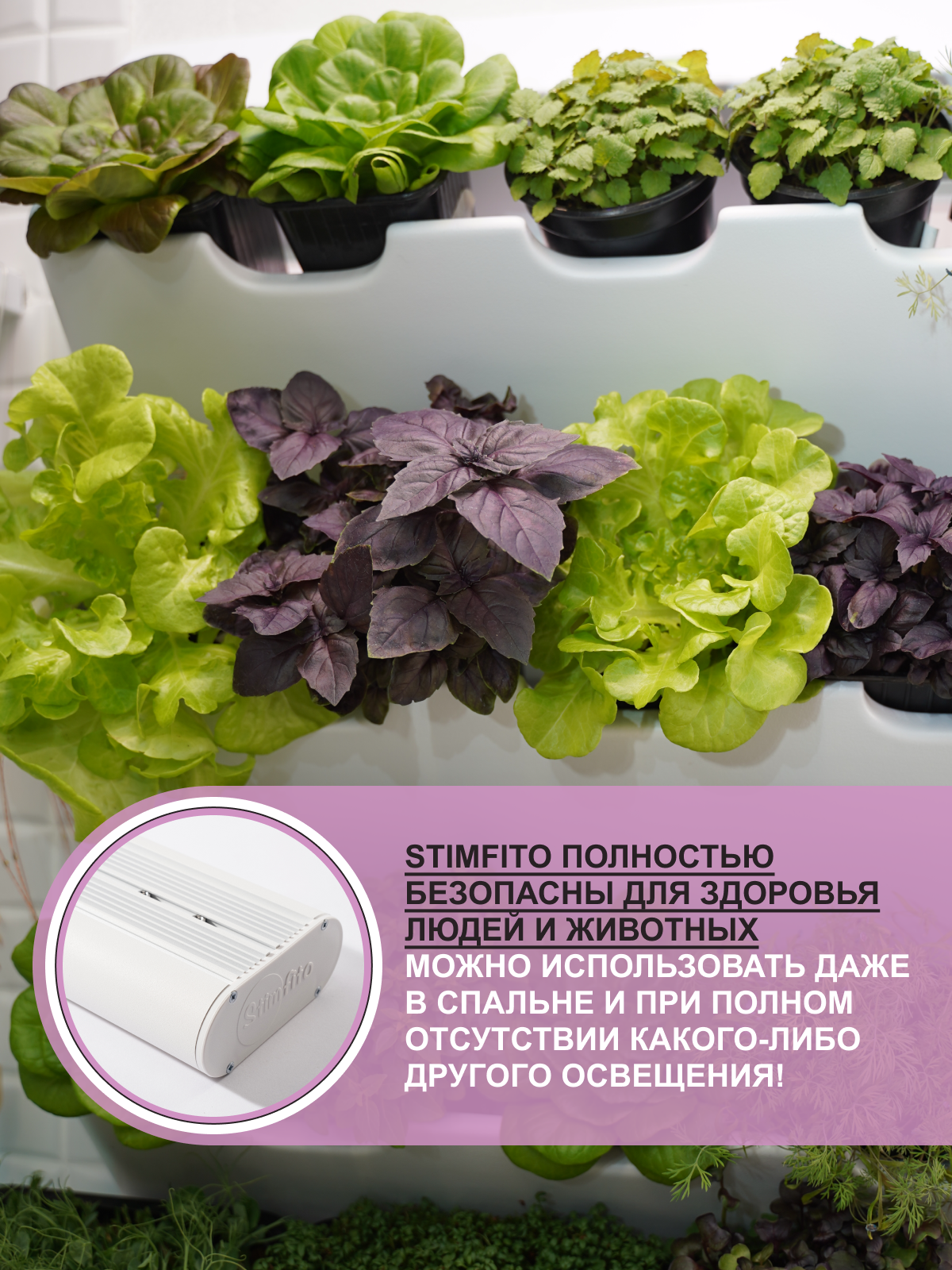 белая9