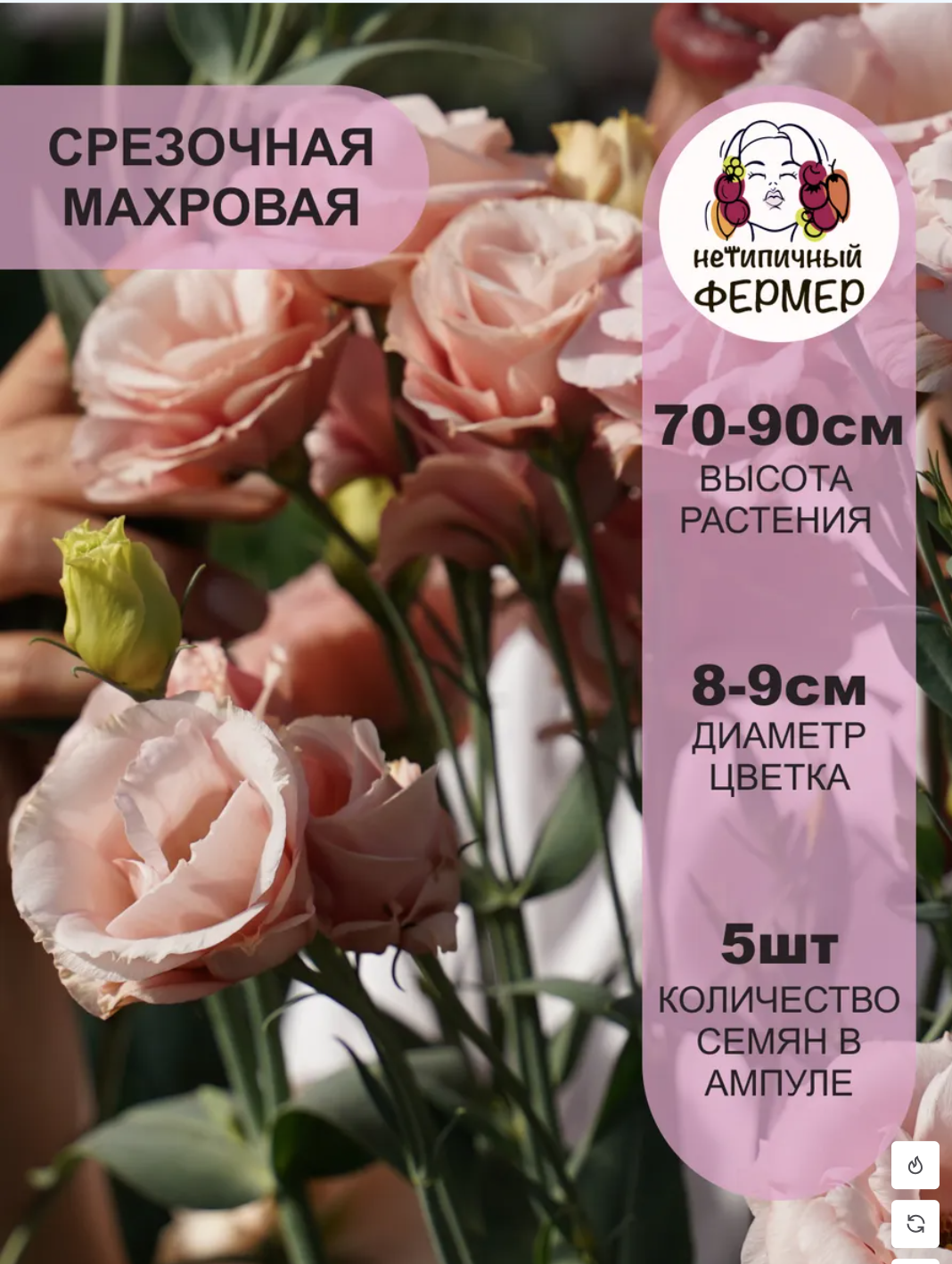 Снимок экрана 2025-12-19 в 01.04.21