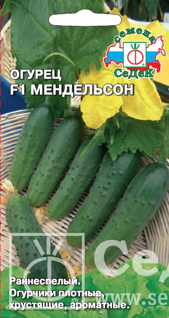 Огурец Мендельсон (5г) СЕДЕК