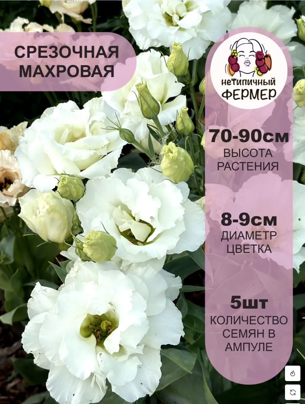 Снимок экрана 2025-12-19 в 01.03.59