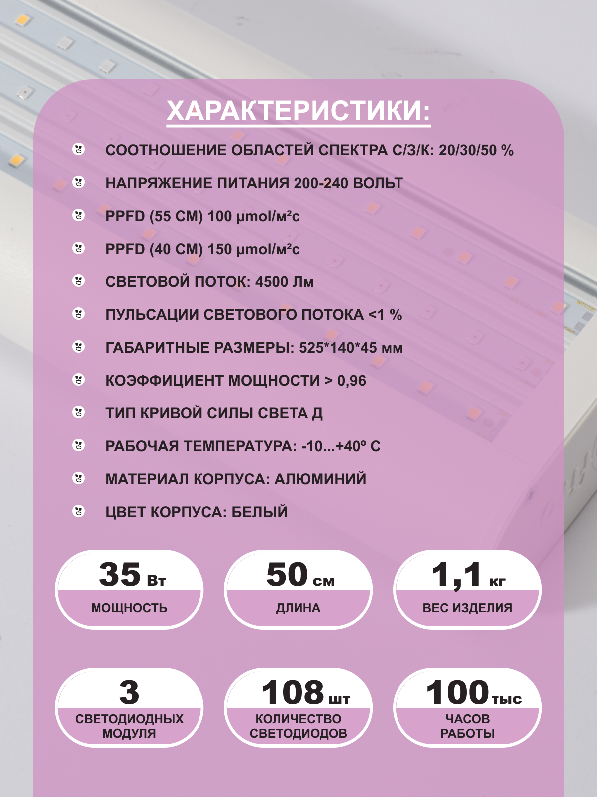 белая12