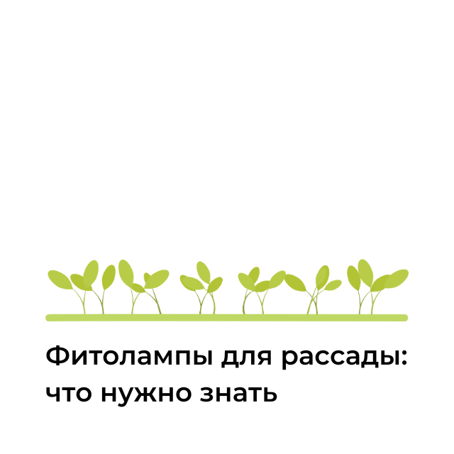 Фитолампы для рассады: что нужно знать