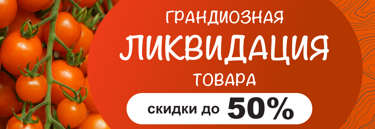 Ликвидация