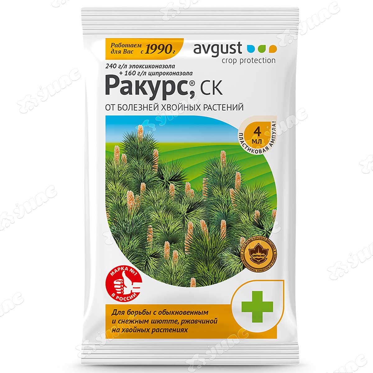 ракурс