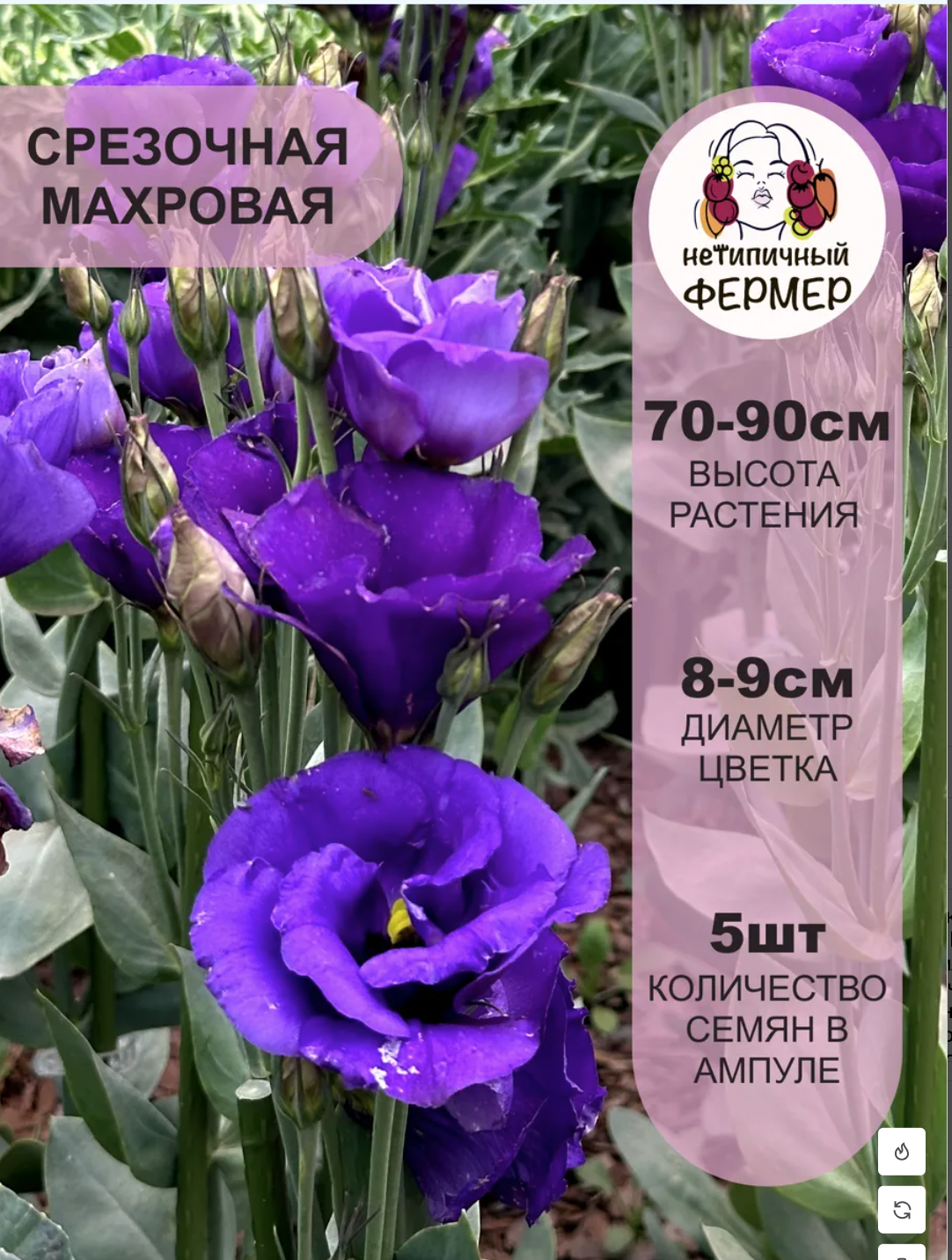 Снимок экрана 2025-12-19 в 01.04.32