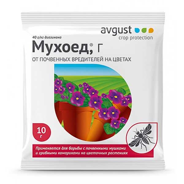 Мухоед 10