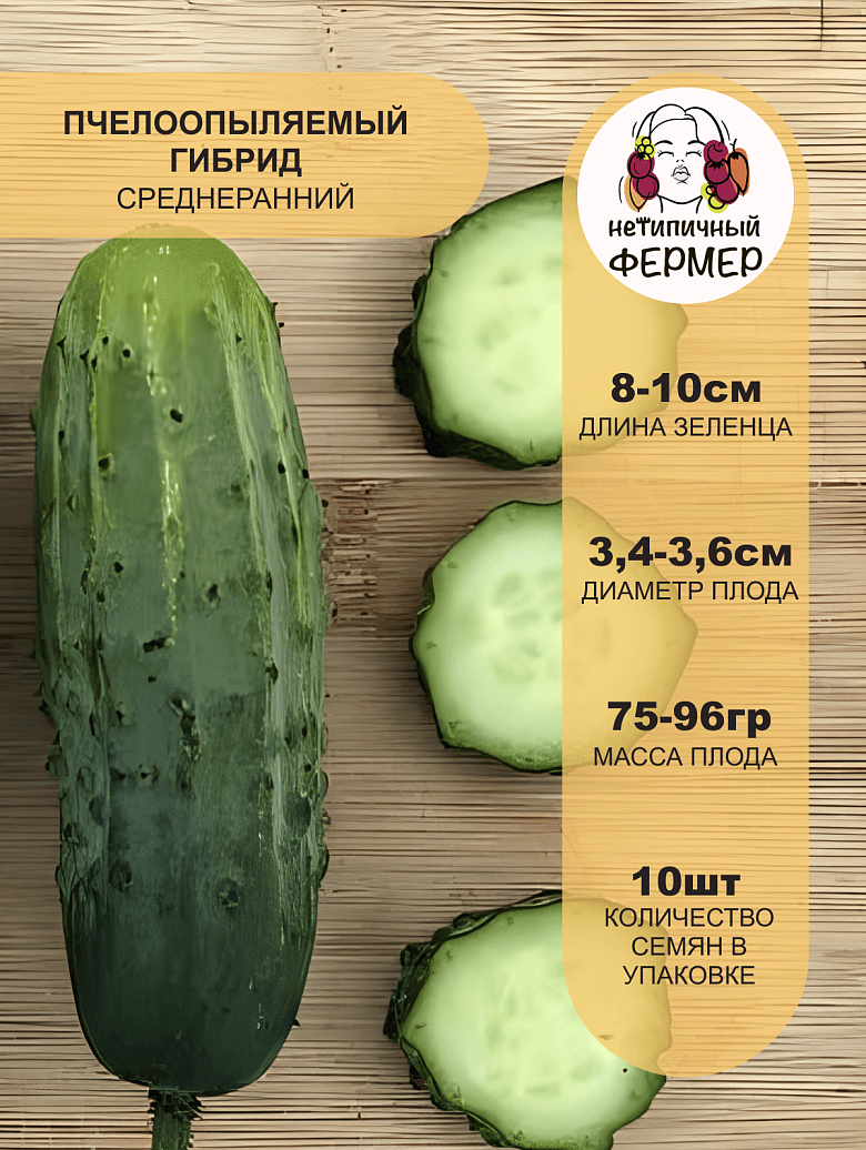 Байконур2.png