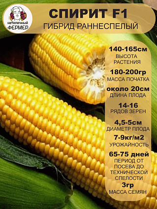 Кукуруза Спирит F1 (3г) НФ