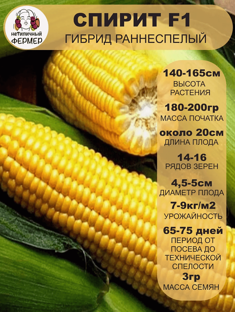 Снимок экрана 2025-09-04 в 22.42.50.png