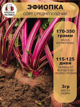Свекла Эфиопка (3г) НФ
