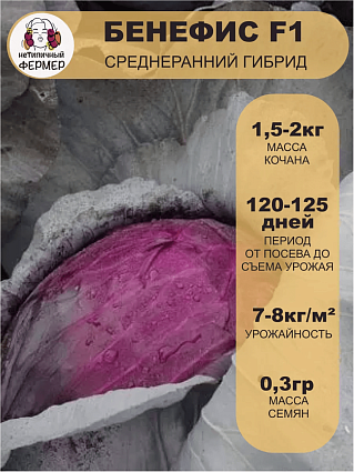 Капуста Бенефис F1 (0,3г) НФ