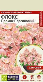 Флокс Промис Персиковый махровый (5шт) СА