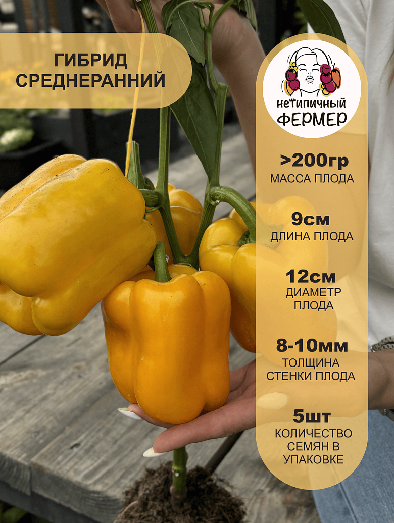 Тавиньяно2.png