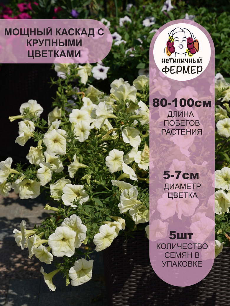 Изи Вейв Еллоу2