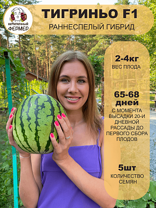 Арбуз Тигриньо F1 (5шт) НФ
