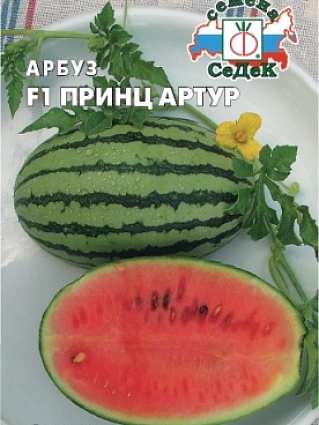 Арбуз принц Артур (0,5г) СЕДЕК