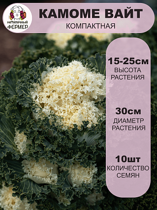 Капуста декоративная Камоме Вайт F1 (10шт) НФ