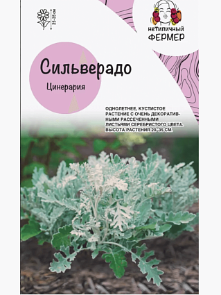 Цинерария Сильверадо (0,1гр) НФ