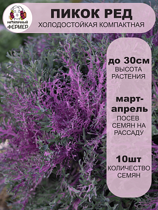 Капуста декоративная Пикок Ред (10шт) НФ