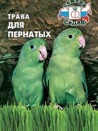 Трава для пернатых (10г) СЕДЕК