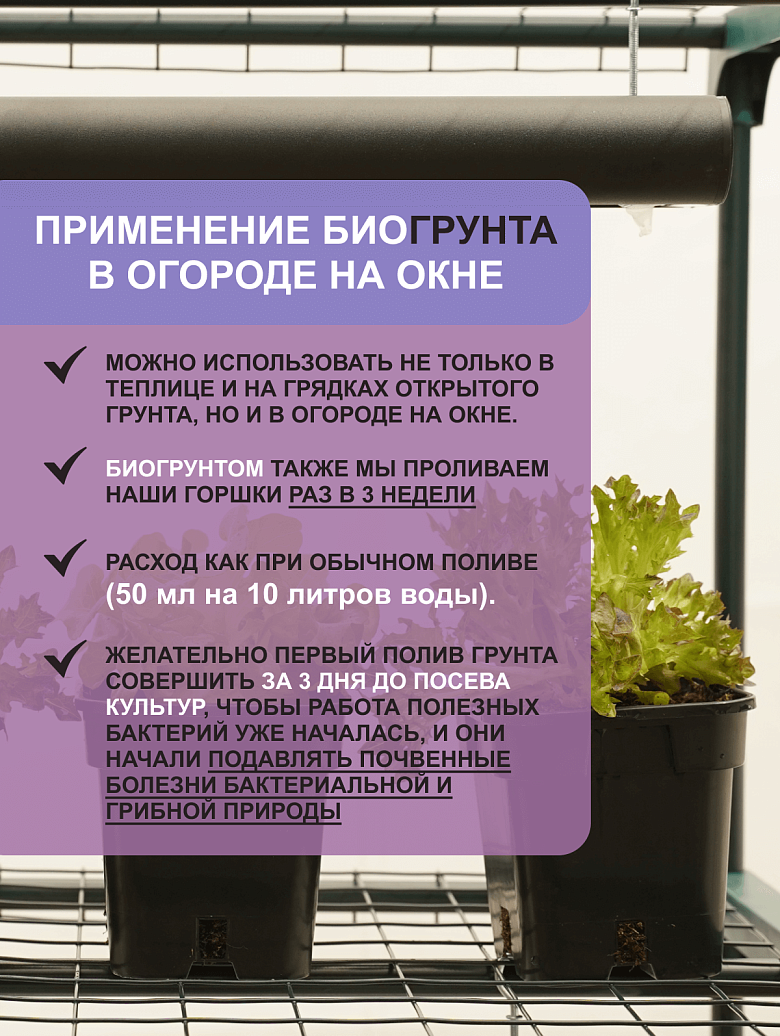 Бгрунт250-10.png