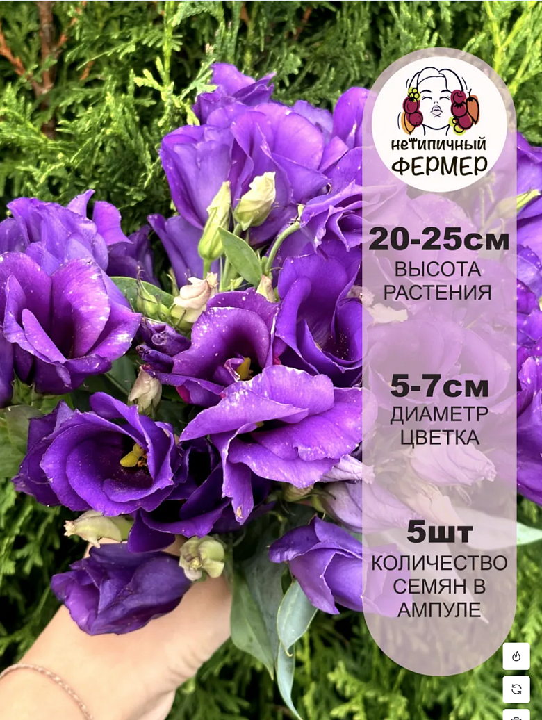 Снимок экрана 2025-12-19 в 00.14.33
