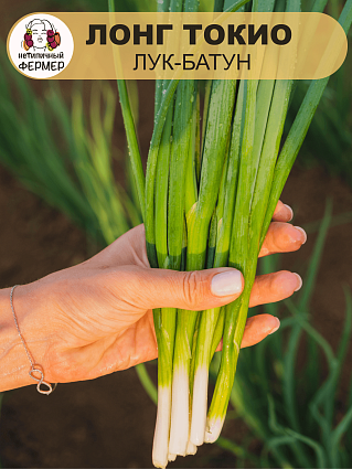 Лук батун Лонг Токио (0,5г) НФ