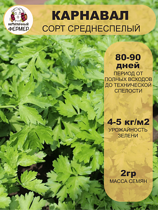 Петрушка листовая Карнавал (2г) НФ