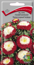 Астра однолетняя помпонная Превосходный Гасфорд (0,3г) Поиск