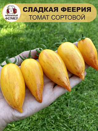 Томат Сладкая феерия (10шт) НФ