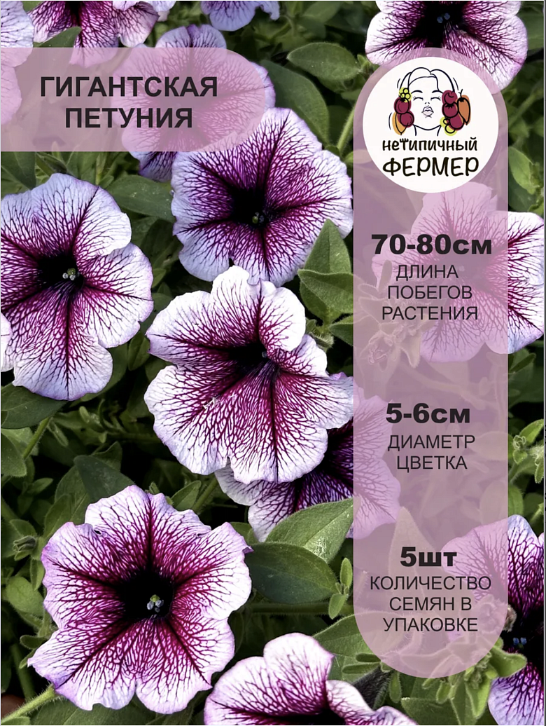 Снимок экрана 2025-12-18 в 17.43.58