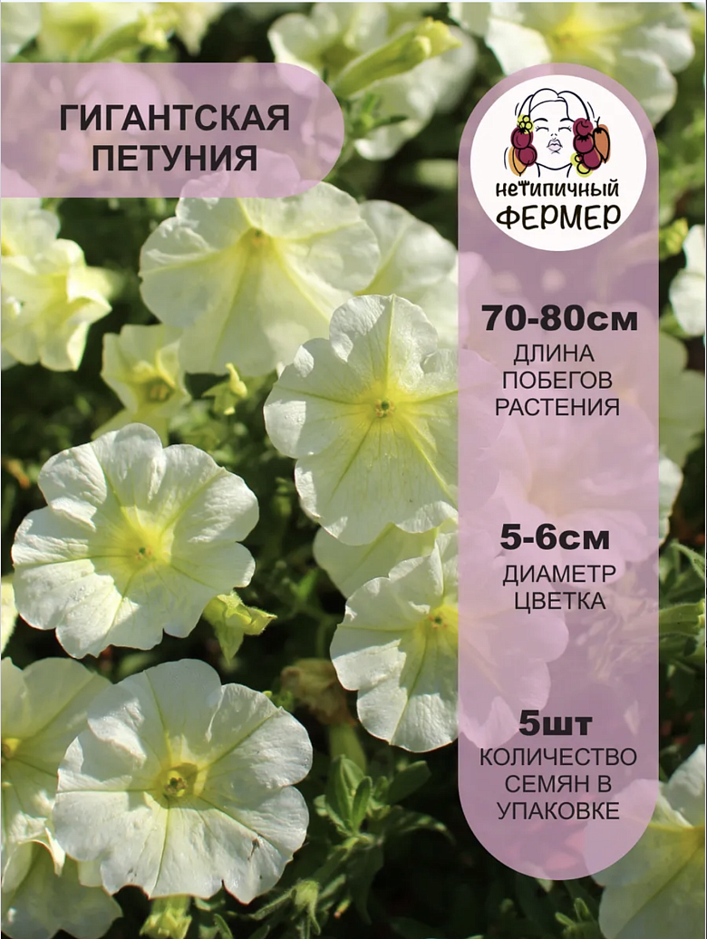 Снимок экрана 2025-12-18 в 17.43.47
