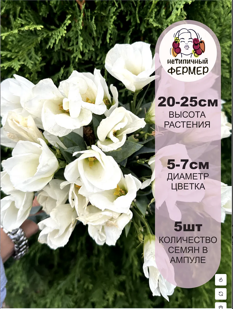 Снимок экрана 2025-12-19 в 00.14.58
