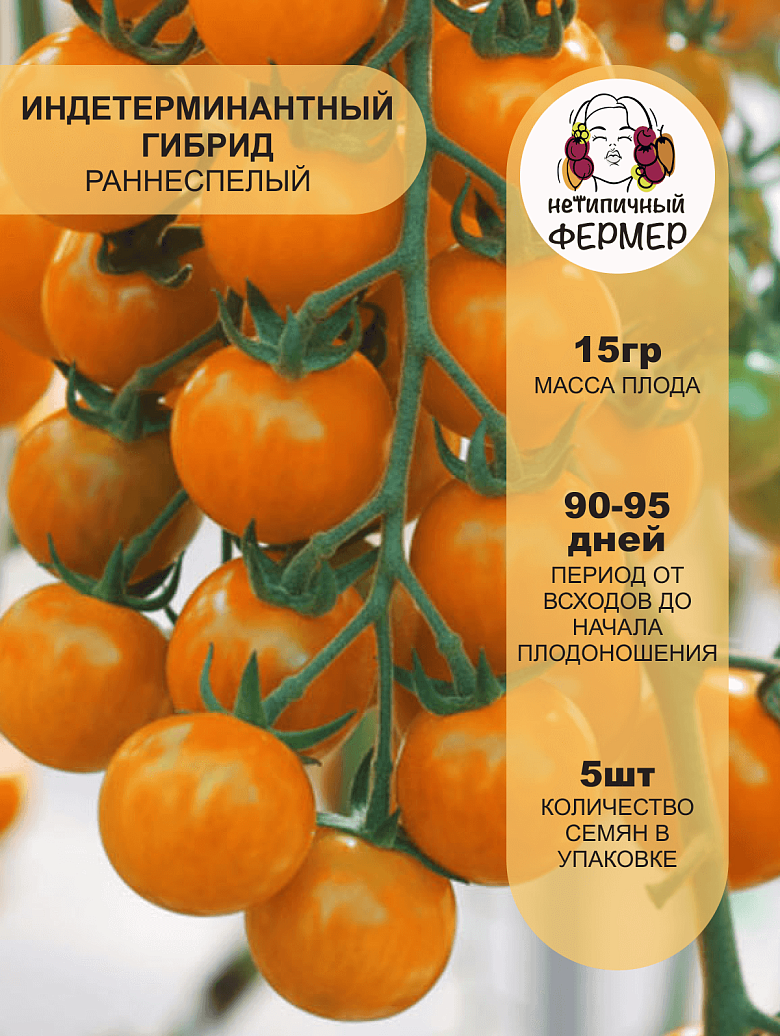 Рыжий Фермер2.png