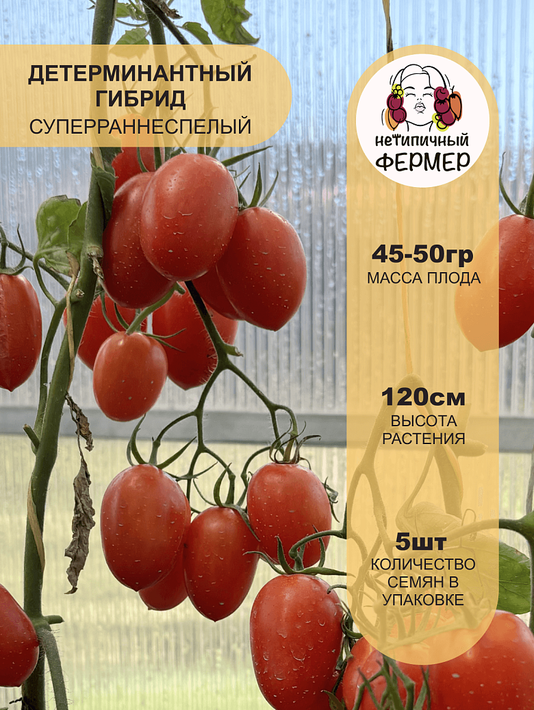 Джек Пот2.png