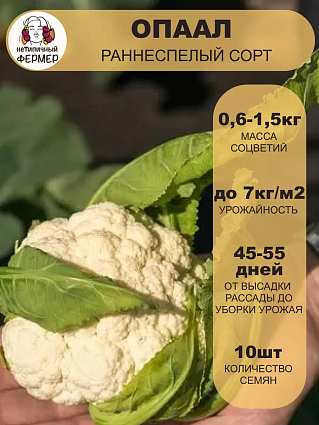 Капуста цветная Опаал (10шт) НФ