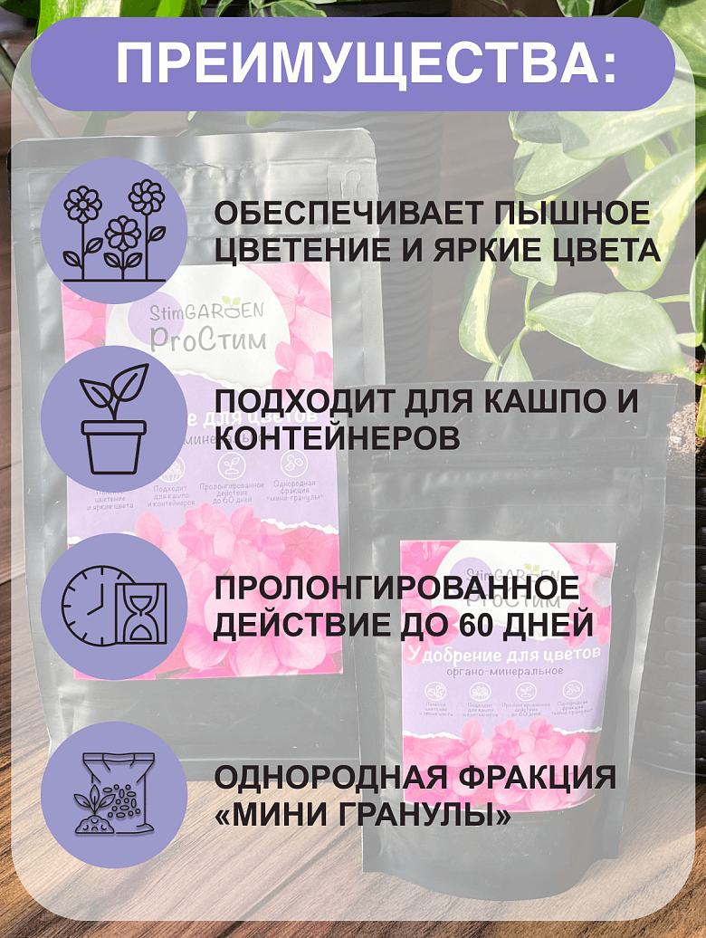 02с.png