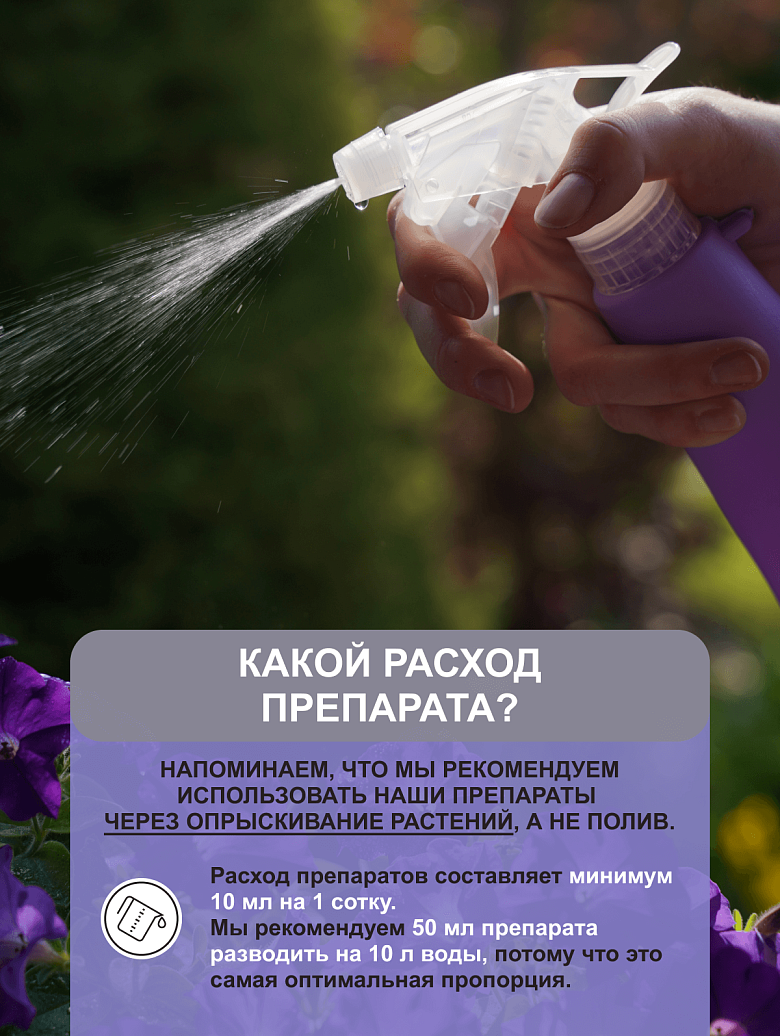 12ц.png