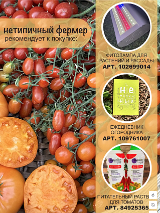 Томат набор:Гилгал,Бариста,Сокровище Инков,Феерия,Тана,Фростед,Джек Пот,Зеленая тайна, Камбай