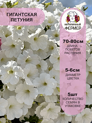 Петуния ампельная Опера F1 Вайт (5шт) НФ