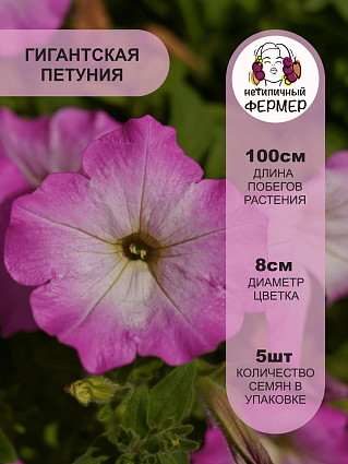 Петуния ампельная Опера F1 Пинк Морн (5шт) НФ