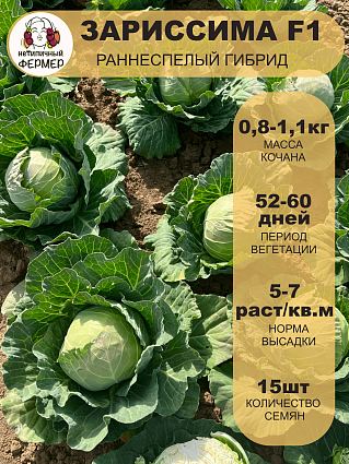 Капуста б/к Зариссима F1 (15шт) НФ