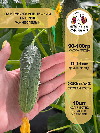 Огурец Саввин F1 (10шт) НФ