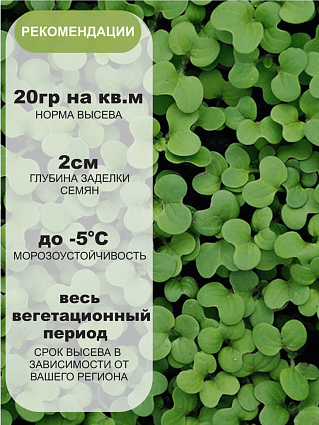 Горчица 0,5 кг