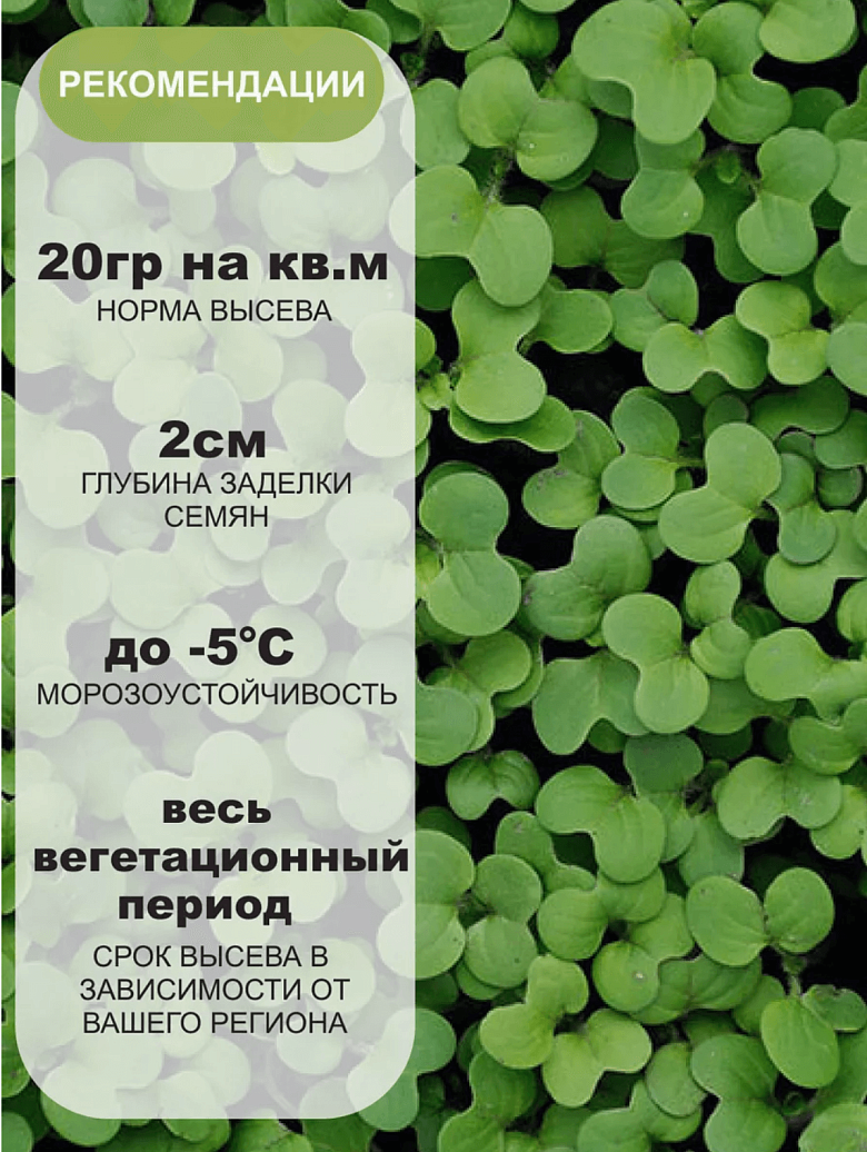 Снимок экрана 2025-09-04 в 20.44.19.png